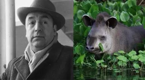 聂鲁达说，没有玩具我就没法活！那么，来看看大诗人怎么活的吧