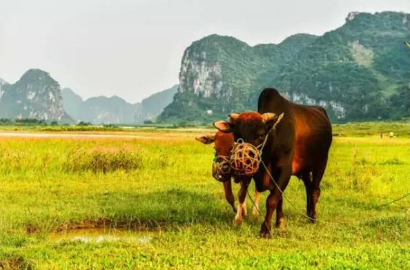 广西自驾游路线推荐2天,广西自驾游路线推荐3-4天自由行