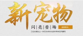 梦幻西游手游普陀玩法全解析,梦幻西游手游普陀攻略详细