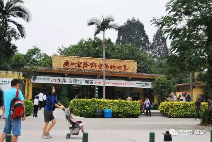广州长隆亲子游攻略 (长隆动物园亲子游攻略)