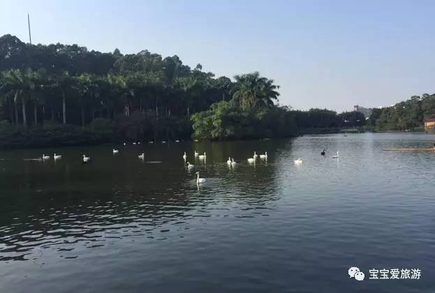 广州长隆亲子游攻略 (长隆动物园亲子游攻略)