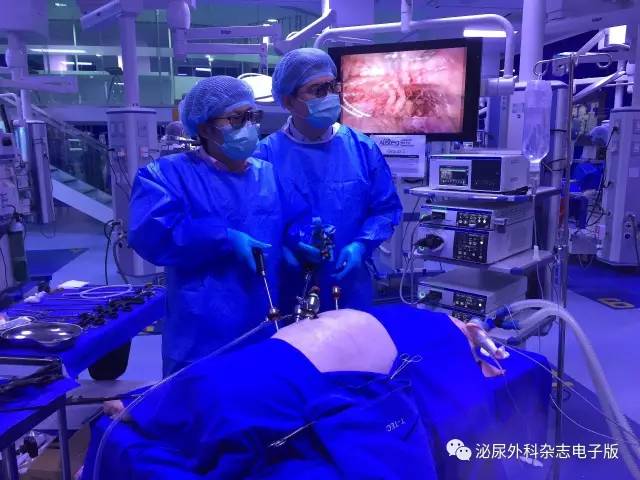 求技于workshop，问道于亚洲厅堂——亚洲泌尿外科培训教育集团（AUSTEG）上尿路腹腔镜外科培训班侧记之求技篇