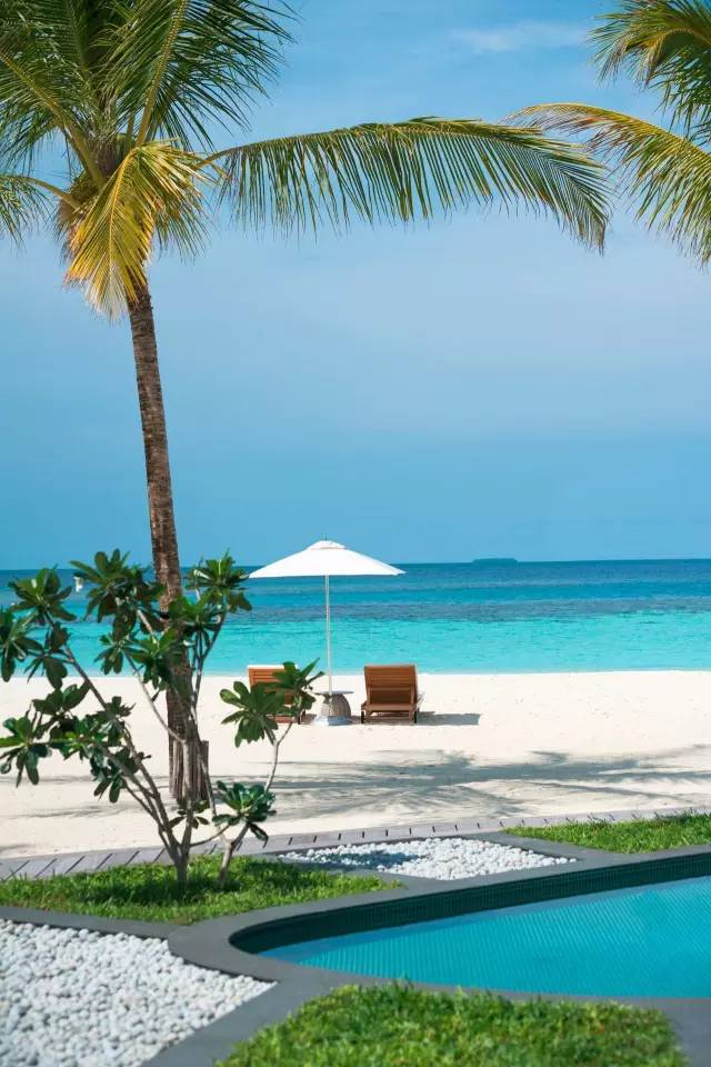 思聪和马代瑞吉,思聪马代瑞吉现状