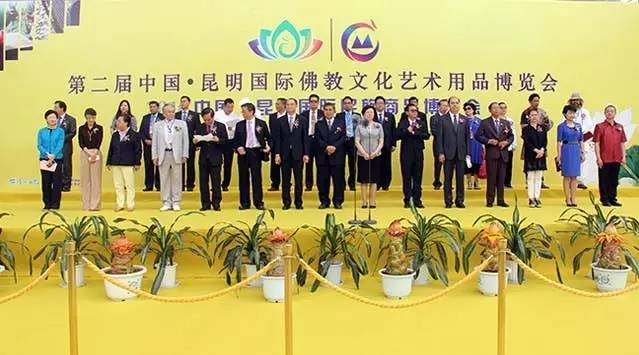 云宝成长史,云宝的成长事迹