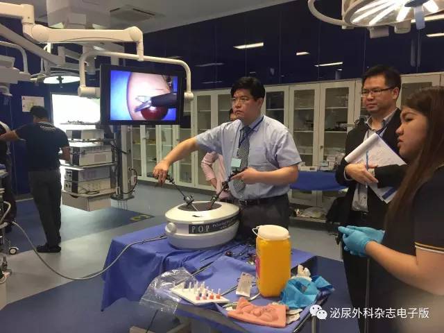 求技于workshop，问道于亚洲厅堂——亚洲泌尿外科培训教育集团（AUSTEG）上尿路腹腔镜外科培训班侧记之求技篇