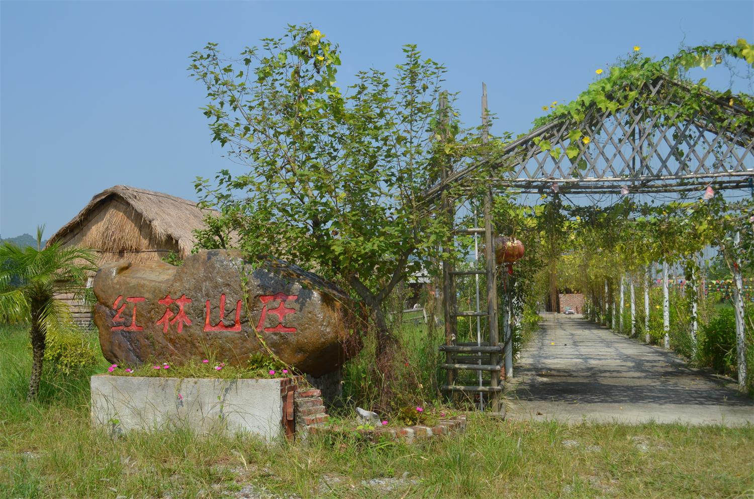 南宁附近农家乐排行榜,南宁十全十美农家乐