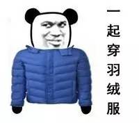 市面上的假羽绒服有哪些,买到假的羽绒服你会穿吗