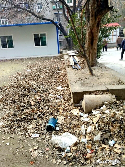 院长大搞翻新改造工程,院长翻天覆地的生活