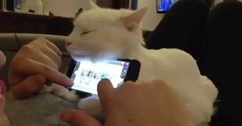 抢红包的秘诀需要点几下,抢红包效力最高的方法