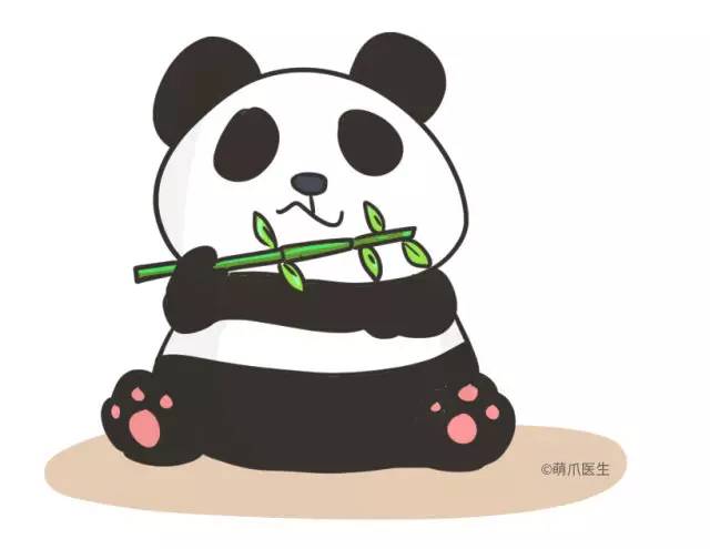 边牧的智商真的有6-8岁那么高吗,边牧和巴拉布拉多他俩谁的智商高