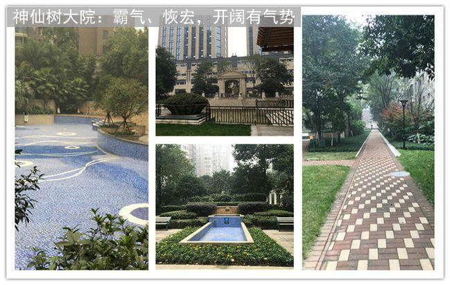 神仙树大院美食,神仙树大院和桐梓林一号