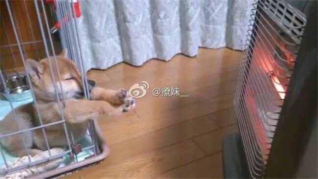 太搞笑了图片带字,非常搞笑的相册