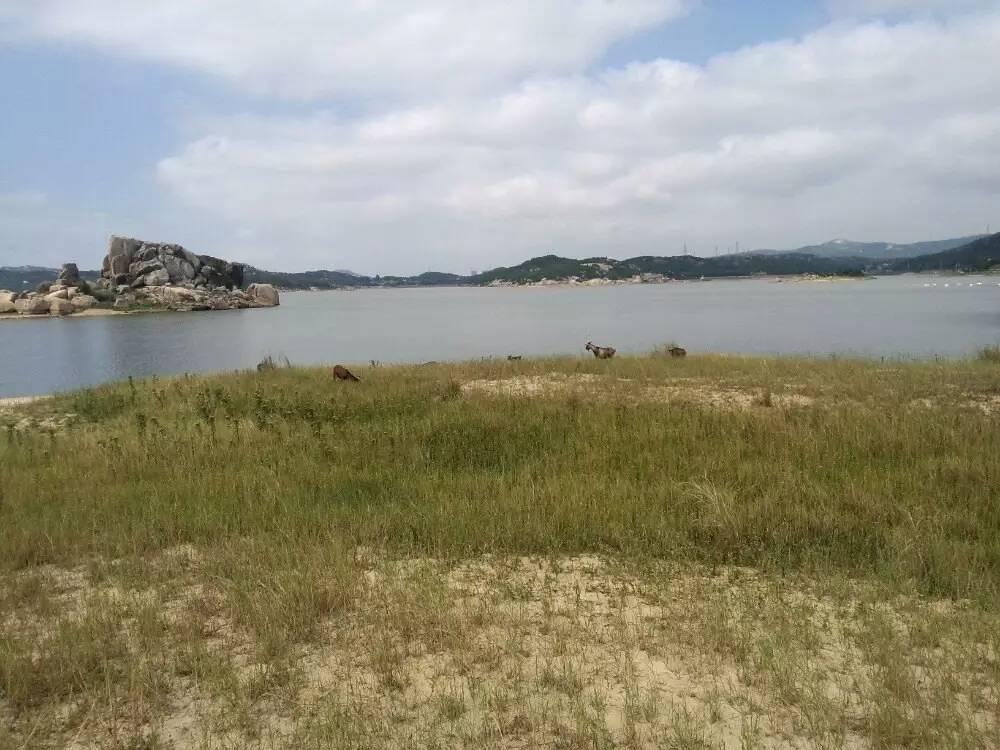 是谁含辛茹苦抚养你长大,是谁养育了我朗诵