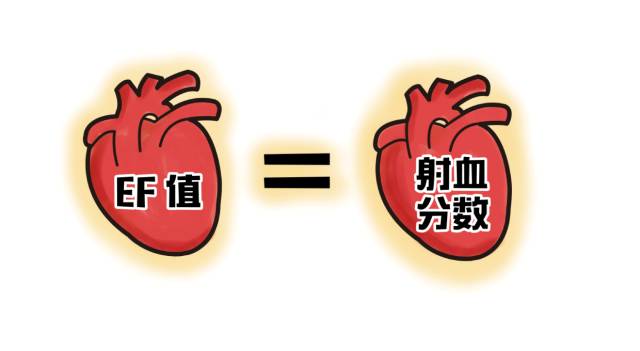 心室泵力不足会导致血压低吗,心室泵力不足的危害