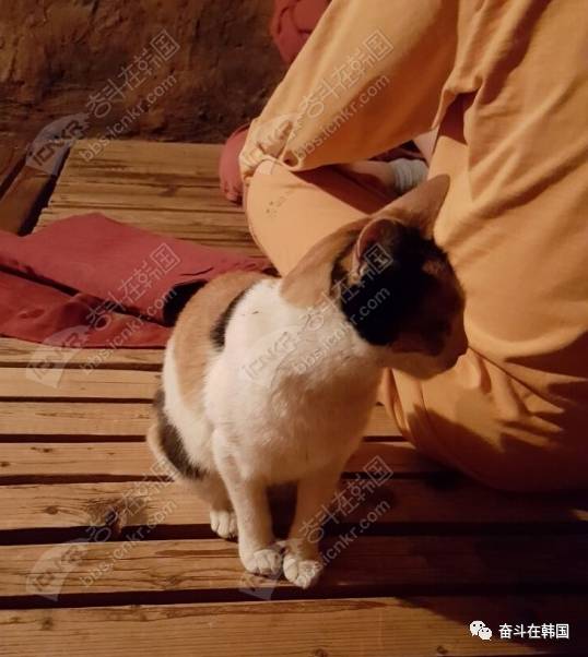 韩国汗蒸去哪里？跟大家分享一个特别的汗蒸房，跟你家附近的汗蒸房绝对不一样！