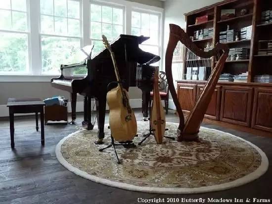 学废了的那么多乐器，其实是你家最好的装饰