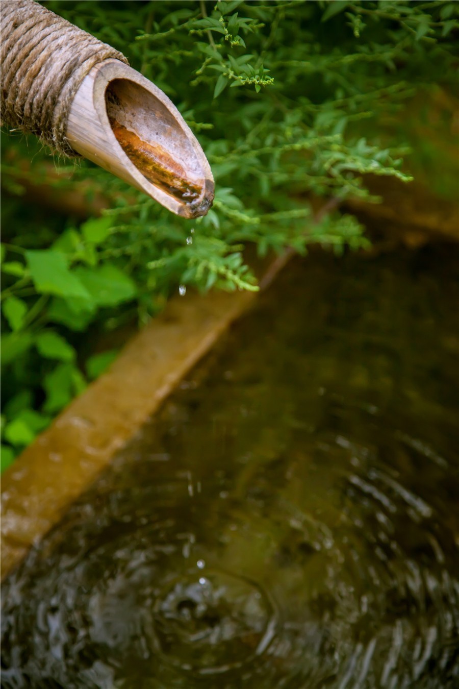 在被称做“东方瑞士”的仙境，她盖了一座令人心境荡漾的房子，森林与大海都在后花园里
