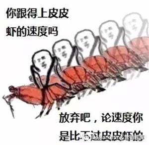 皮皮虾如何营销,皮皮虾销售新模式