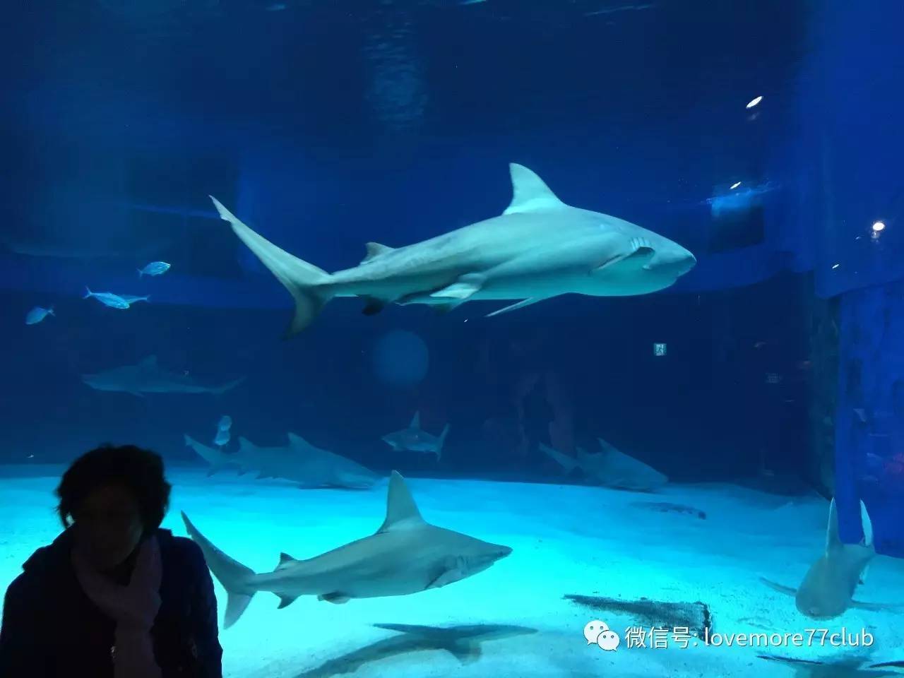 冲绳石垣岛亲子游攻略,冲绳亲子游最佳路线图冬天