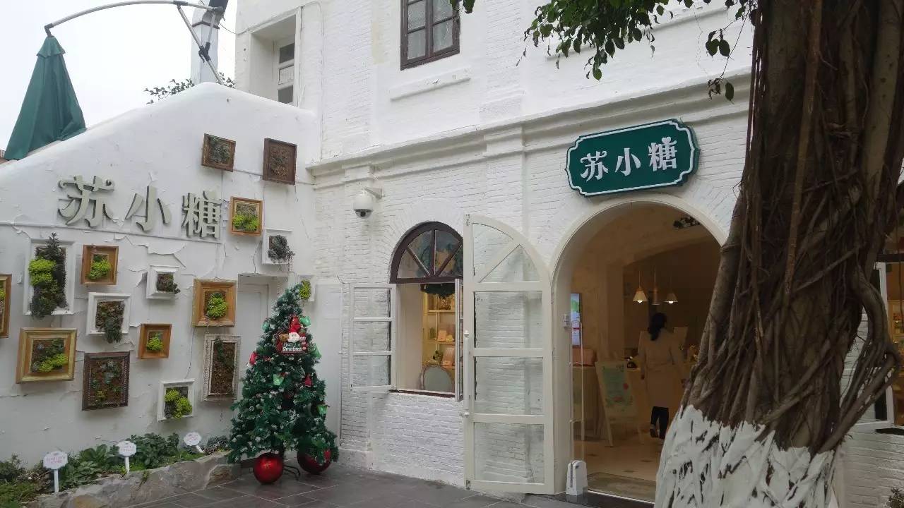 鼓浪屿真的值得去吗,鼓浪屿还敢去玩吗