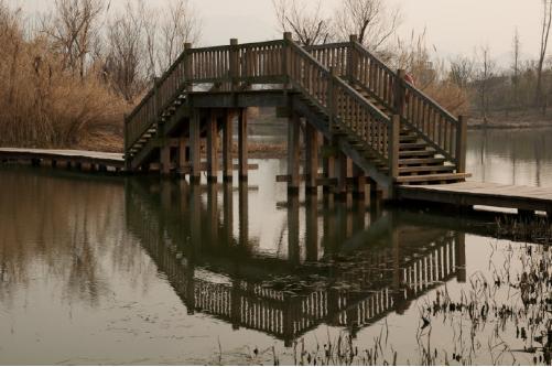 说走就走结伴而行,说走就走一个人的旅行杭州