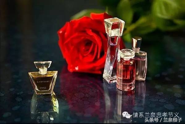 兰州苦水玫瑰,永登苦水玫瑰可以摘了吗