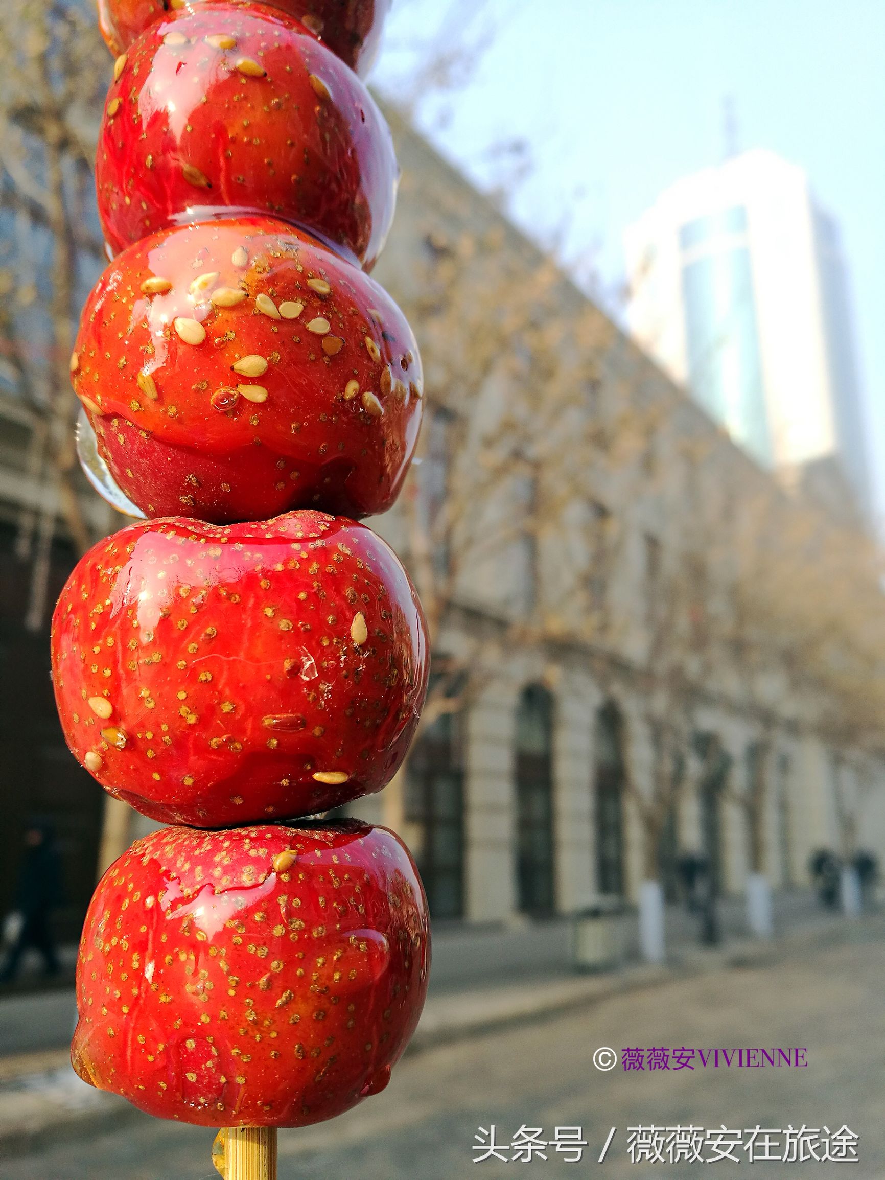 北国冰城之旅,奔赴冰城哈尔滨感受北国浪漫