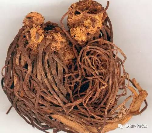 安国百花草价格,安国药草的功效和作用