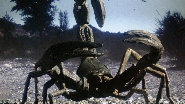 世界上已灭绝的23种动物,已经灭绝的10种巨型动物