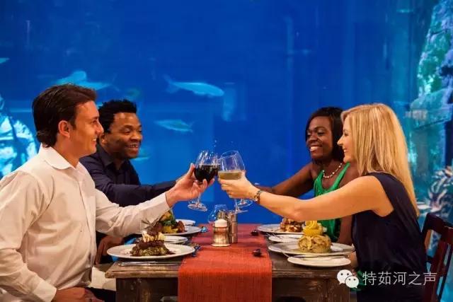 全球最漂亮的海上餐厅,全球十大最美海边餐厅