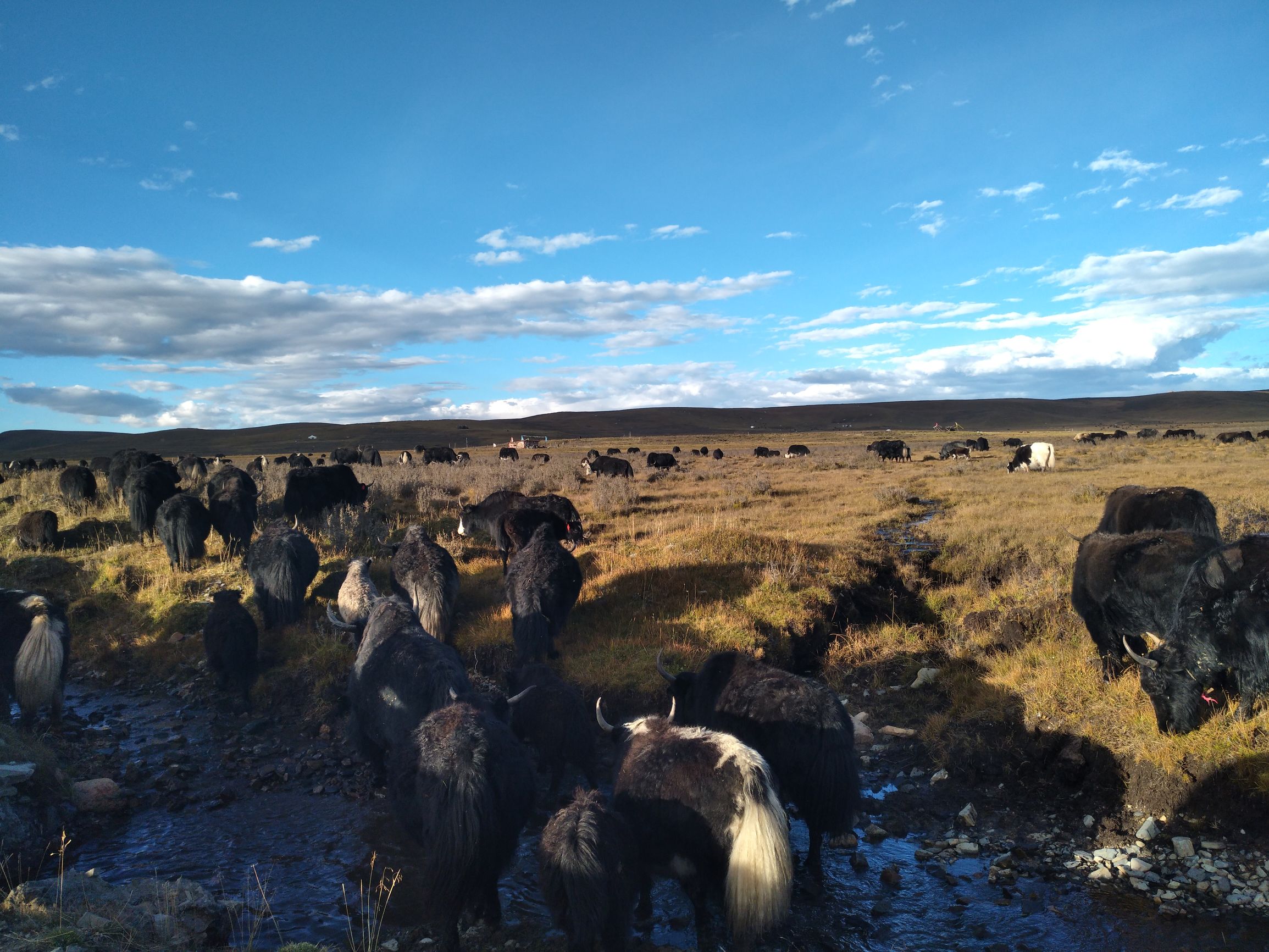 宁夏到陕西的沿途旅游,从宁夏自驾游到重庆多长时间