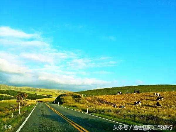 新西兰旅游游记,4月新西兰游记