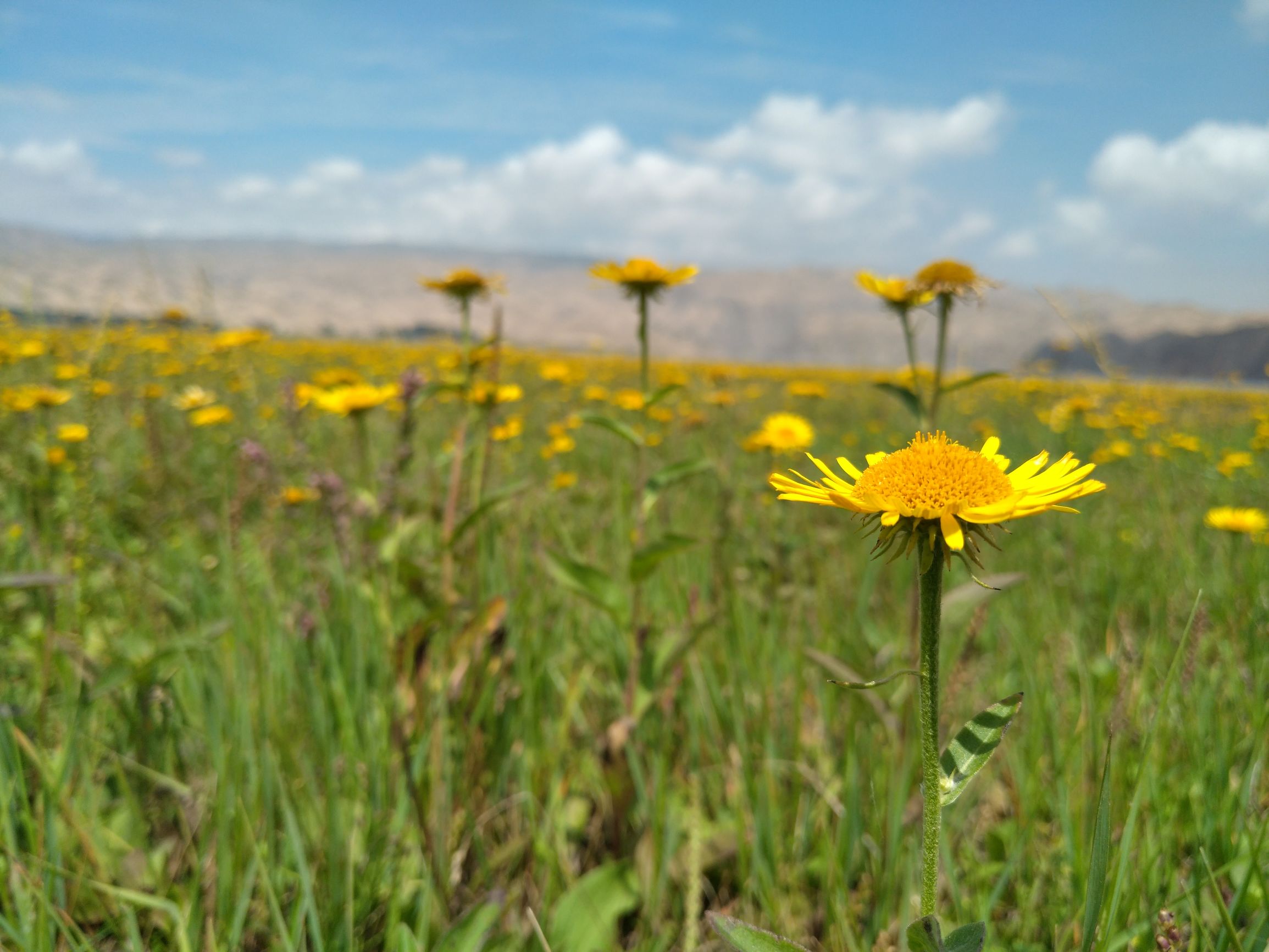 宁夏到陕西的沿途旅游,从宁夏自驾游到重庆多长时间