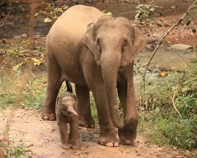 干货分享必读,干货探索与分享