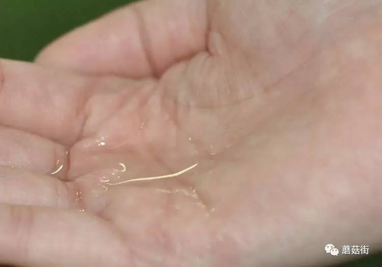 测评护肤水抗衰,推荐护肤水真实测评博主