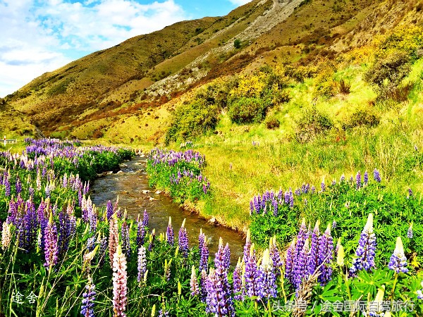 新西兰旅游游记,4月新西兰游记