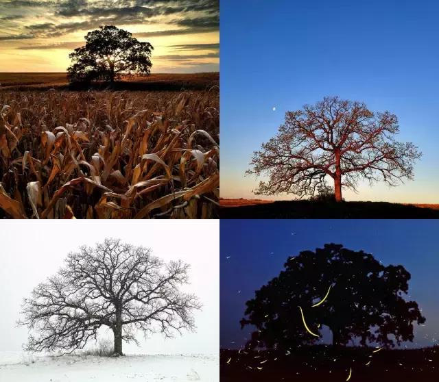 365天摄影计划,新的一年要做的365件事