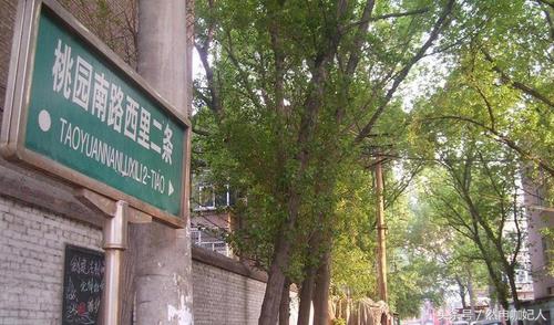身边人：太原水西关桃园北路，梁子抗争她的“第一次”