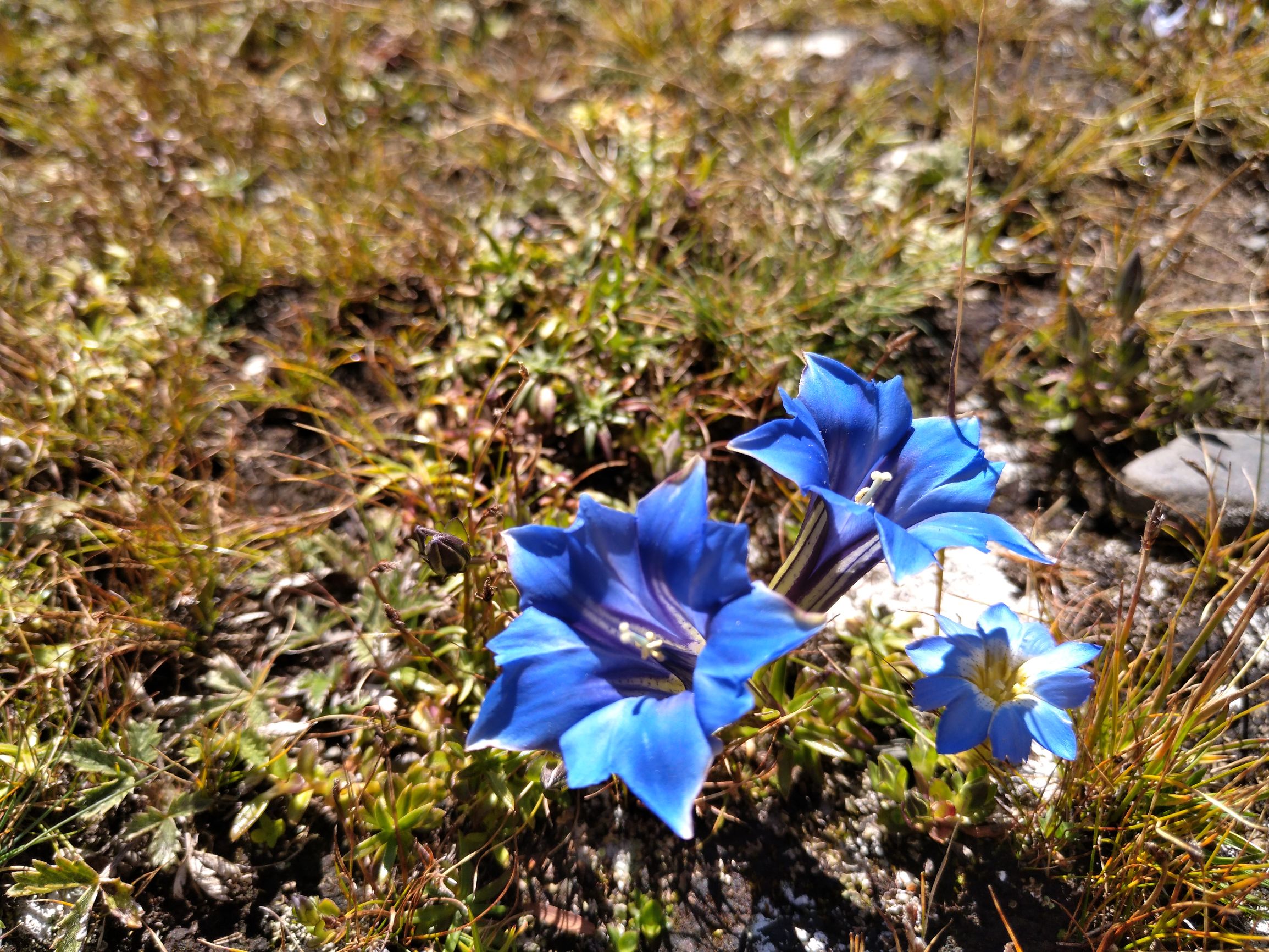 宁夏到陕西的沿途旅游,从宁夏自驾游到重庆多长时间