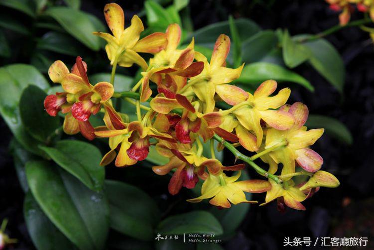 汇客厅2020,狮城新加坡旅游掠影