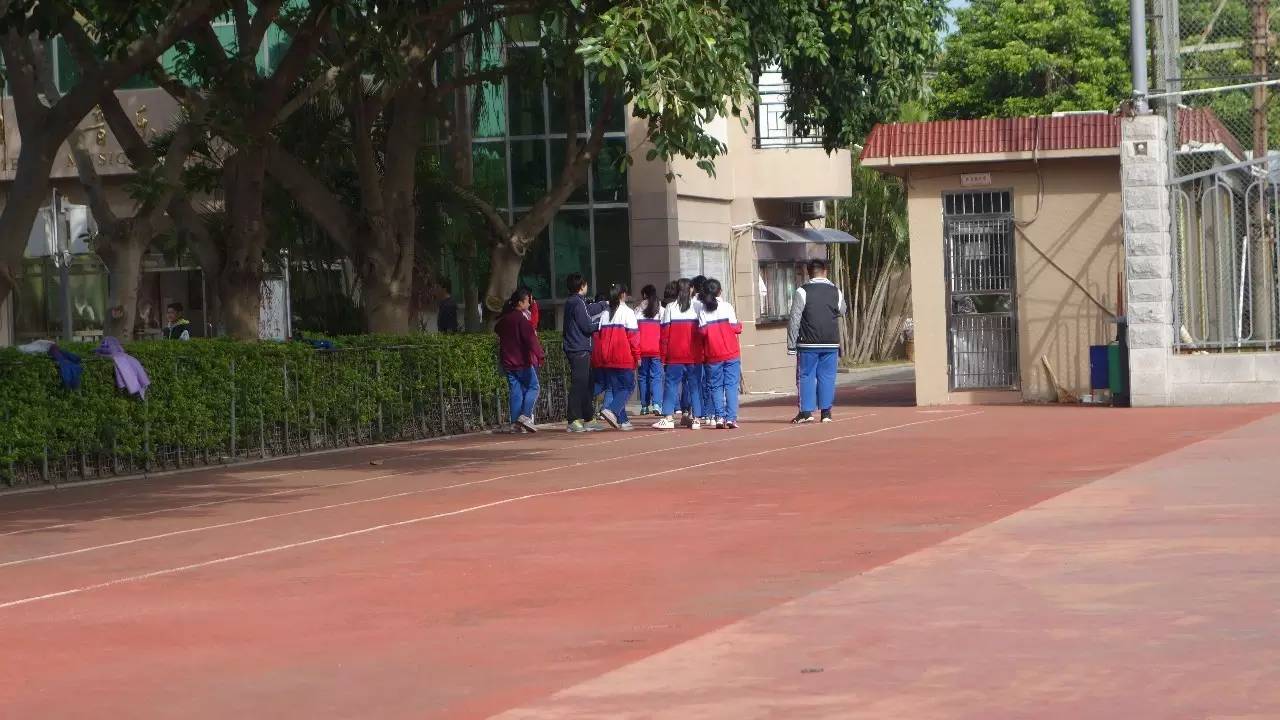 鼓浪屿真的值得去吗,鼓浪屿还敢去玩吗