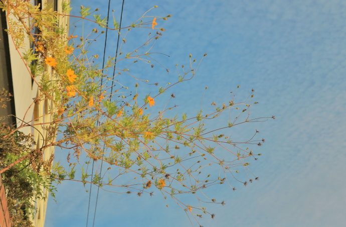 冬日和闺蜜出游,3天2夜的温泉之旅
