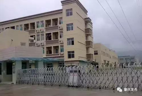 围观！肇庆这些企业“大佬”当面对书记、市长“拍砖吐槽”！