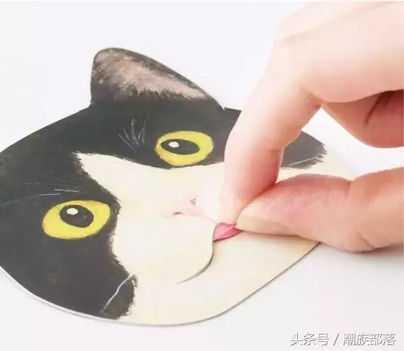 猫控保健,猫控送什么礼物