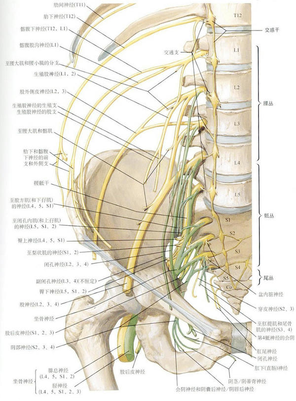 腰椎穿刺术操作流程完成时间,腰椎穿刺术操作考核评分标准