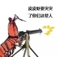 皮皮虾表情包所有图片,目前皮皮虾最火的表情包