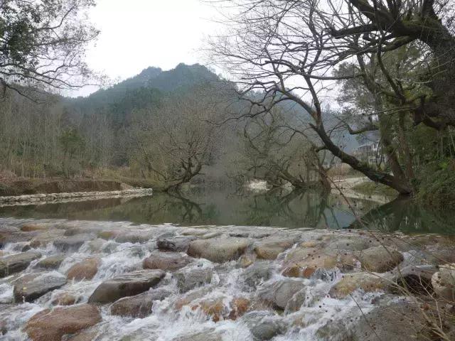 茶产业转型升级的意义,茶产业转型升级的建议