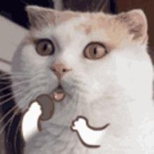 法国药妆什么地方最便宜,去法国药妆店和免税店区别