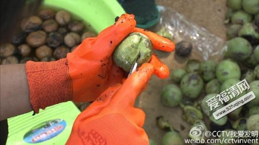 文玩核桃如何快速去青皮,文玩核桃去核桃外皮的最佳方法