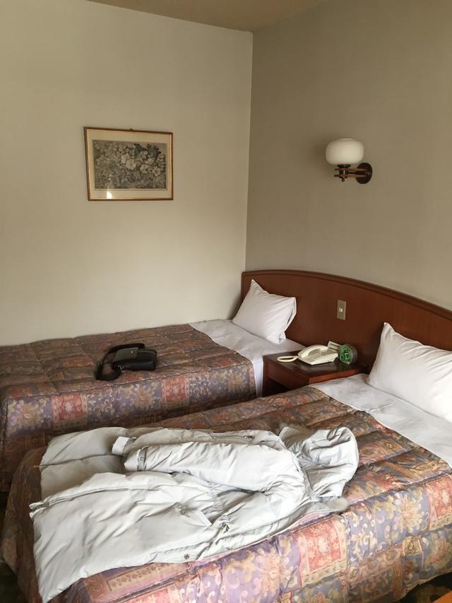 日本dokkan植物酵素老爸评测 (春节日本15天自由行)